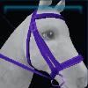 Junior bridle