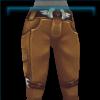 Explorer's pants