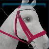 Party bridle