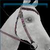 Reining Queen bridle