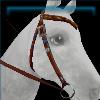 Roping Ranch bridle