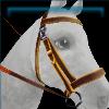Birthday bridle