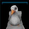 Steven Seagull