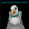 Fancy Seagull
