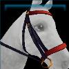 Galloper's Grisly bridle