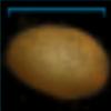 Potato