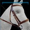 Winter rider bridle