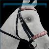 Fancy Winter Bridle