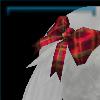 Holiday Tail Ribbon