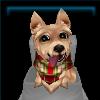 Holiday Terrier