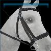 Gold and grey Druid bridle
