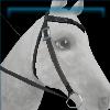 Gold and grey Druid western bridle