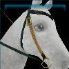 Green Druid western bridle