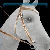 Valentine's retro bridle