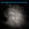 A wad of wolf fur