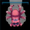 Spider pet