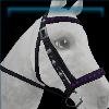 Snazzy bridle