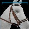 Rex Stamper hazelnut bridle