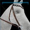Rex Stamper hazelnut western bridle