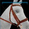 Rex Stamper chestnut bridle