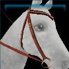 Rex Stamper chestnut western bridle