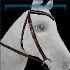 Rex Stamper walnut western bridle