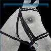Rex Stamper ebony bridle