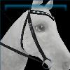Rex Stamper ebony western bridle