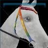 Prismatic bridle