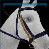 Blue Druid bridle