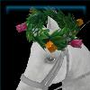 Trendy tulip horse crown