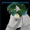 Seashell horse crown