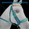 Periwinkle picnic bridle