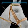 Honey gold bridle