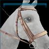 Sakura summer bridle