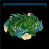 Salty seashell crown