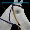 Blue Druid western bridle