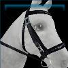 Franziska's black bridle