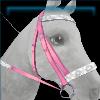 Summer splash bridle