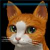Dory the cat