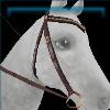 Chocolate western bridle