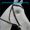 Black western bridle
