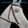 Pecan western bridle