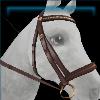 Chocolate classic bridle