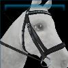 Black classic bridle
