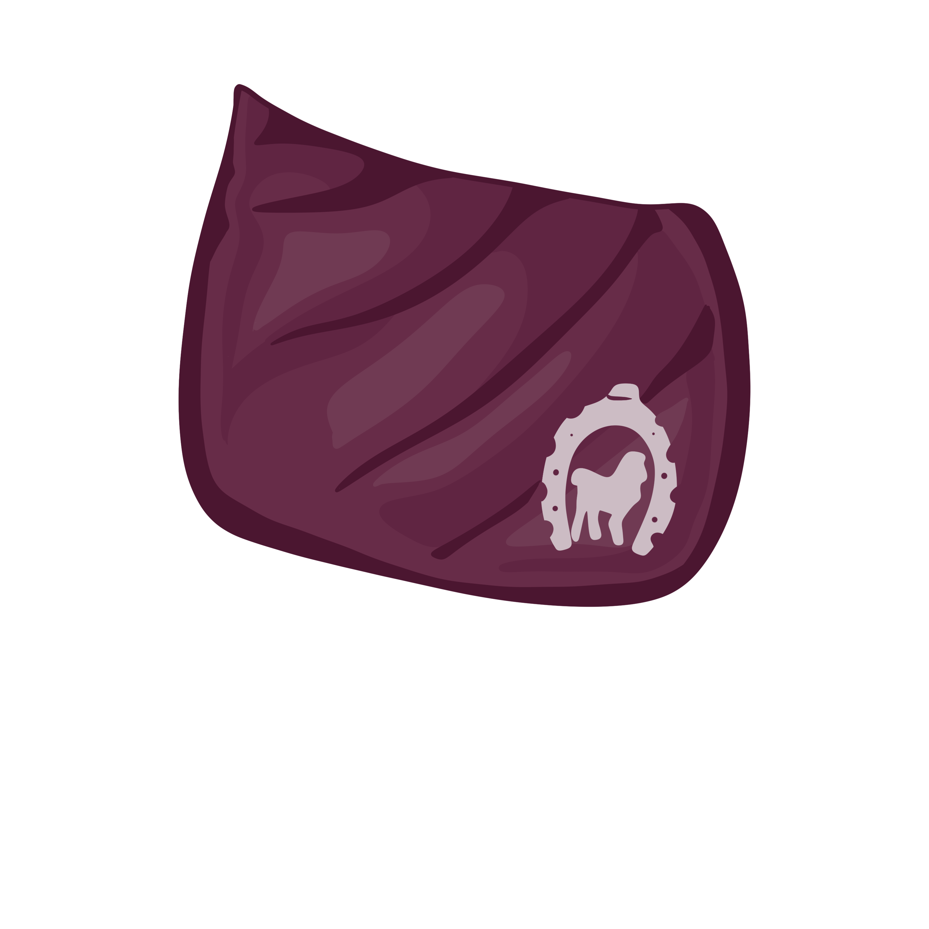 Saddle Pads