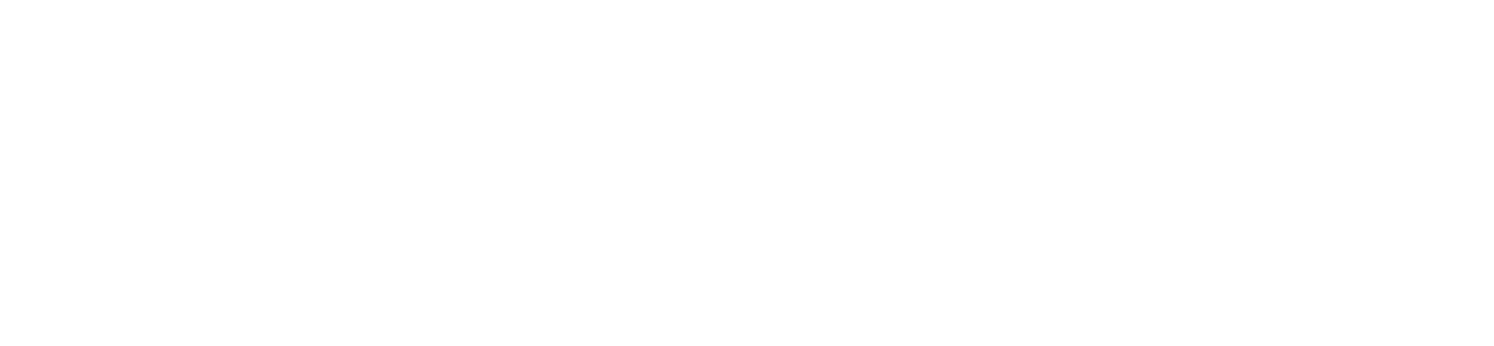 Star Stable Database Logo